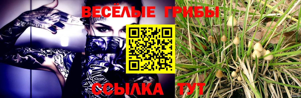 Кострома  Псилоцибиновые грибы прущие грибы  Вход с VPN 